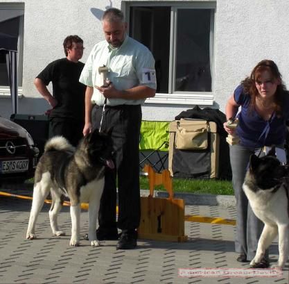 Clubsiegerschau 2009 in Herborn