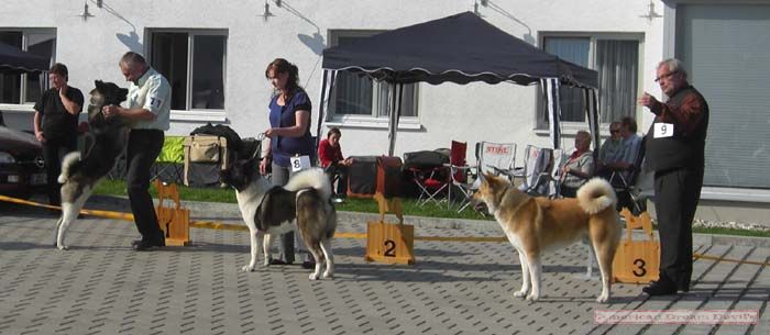 Clubsiegerschau 2009 in Herborn