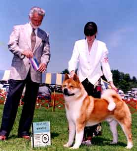 CH Akiho‘s The Ring Master