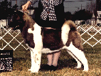 CH Masako Mariko-San Foonying