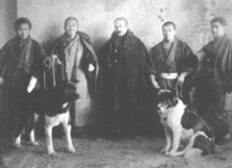 History of the American Akita